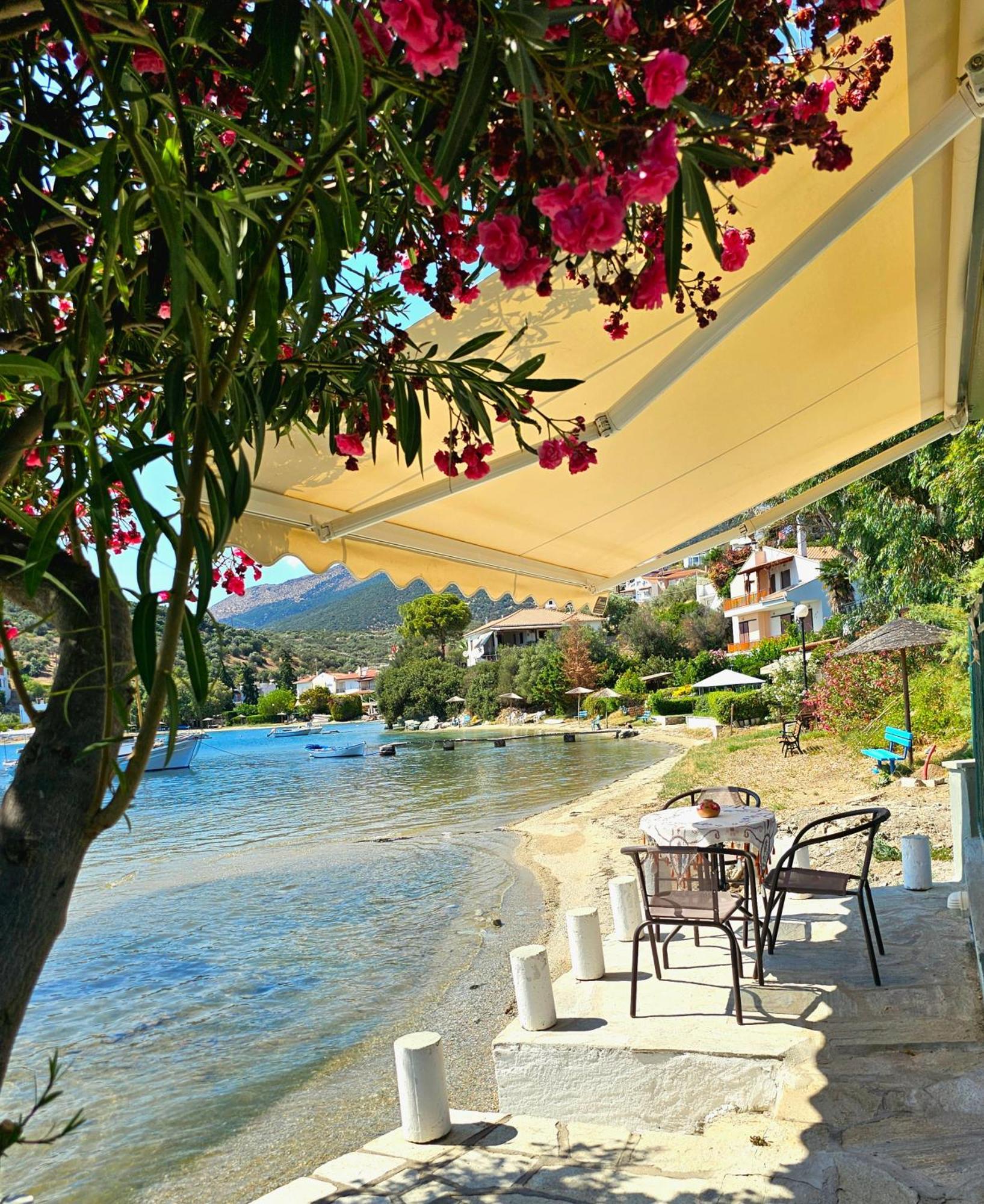 Polianthi Seaside House Βίλα Marathos  Εξωτερικό φωτογραφία